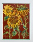 Flower Paintings